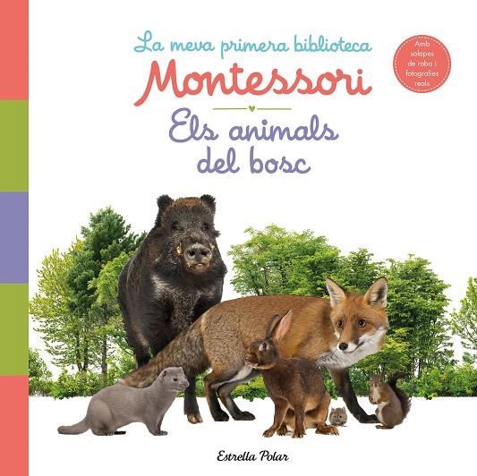 ELS ANIMALS DEL BOSC. LA MEVA PRIMERA BIBLIOTECA MONTESSORI | 9788413890159 | AA. VV.