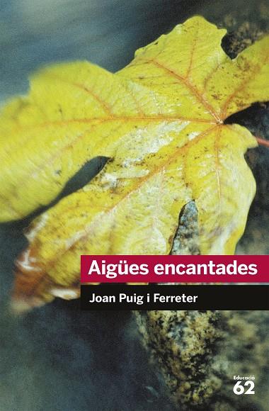 AIGÜES ENCANTADES (EDUCAULA-ED.62) | 9788492672431 | PUIG I FERRETER, JOAN