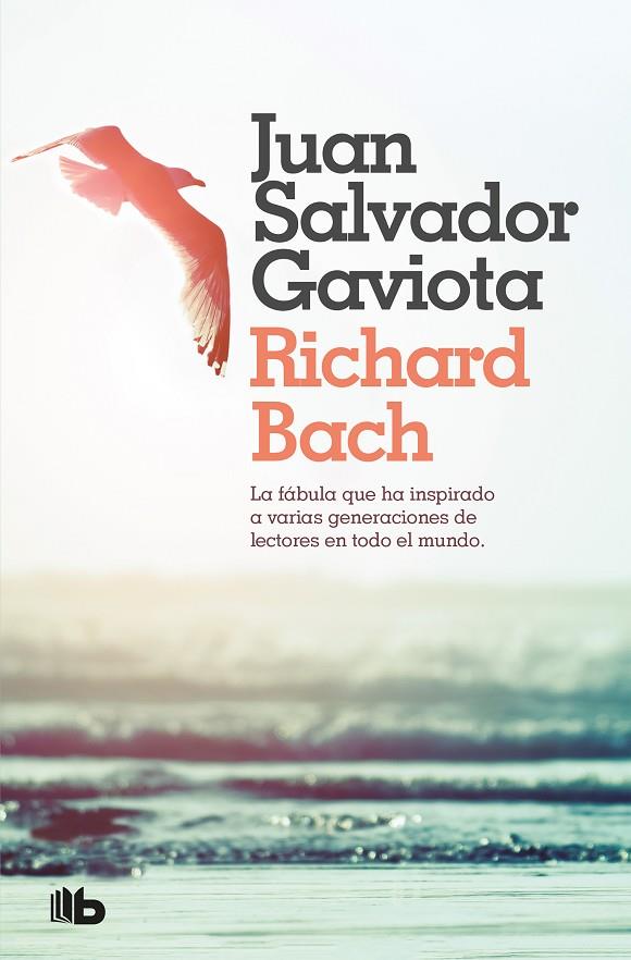 JUAN SALVADOR GAVIOTA | 9788490707432 | BACH, RICHARD
