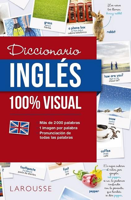 DICCIONARIO DE INGLÉS 100% VISUAL | 9788416641772 | LAROUSSE EDITORIAL