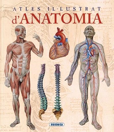 ANATOMIA (ATLES IL.LUSTRAT) REF.1395-02 | 9788467702101