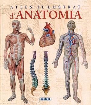 ANATOMIA (ATLES IL.LUSTRAT) REF.1395-02 | 9788467702101