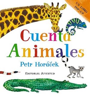 CUENTA ANIMALES (POP-UP) | 9788426139115 | HORACEK, PETR [VER TITULOS]