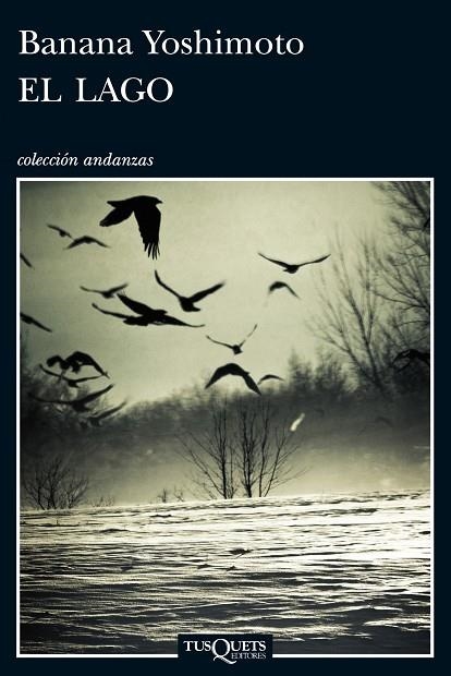 EL LAGO | 9788483837764