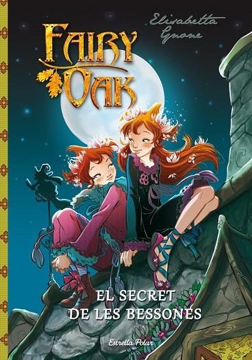 1. EL SECRET DE LES BESSONES | 9788490572436 | ELISABETTA GNONE