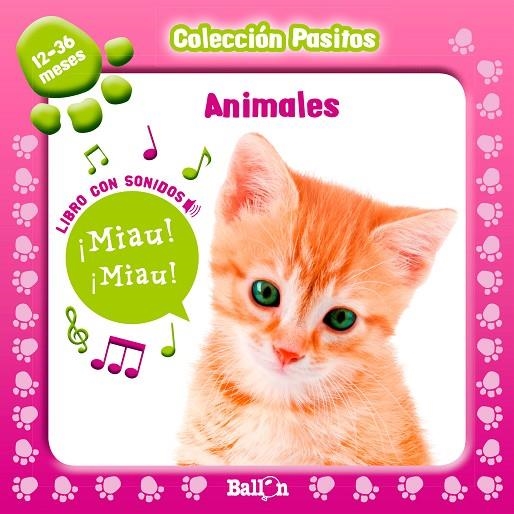 ANIMALES | 9789037496741 | AA.VV.