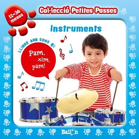 INSTRUMETS (PETITES PASSES AMB SONS) | 9789037496819