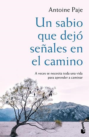 UN SABIO QUE DEJO SEÑALES EN EL CAMINO | 9788408166382 | ANTOINE PAJE