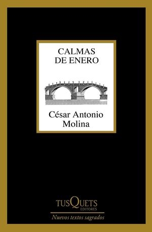 CALMAS DE ENERO | 9788490664704 | MOLINA, CÉSAR ANTONIO