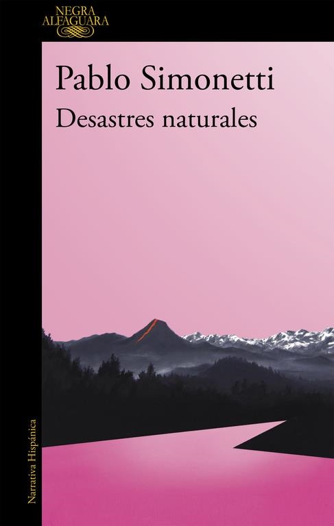 DESASTRES NATURALES (MAPA DE LAS LENGUAS) | 9788420432595 | PABLO SIMONETTI