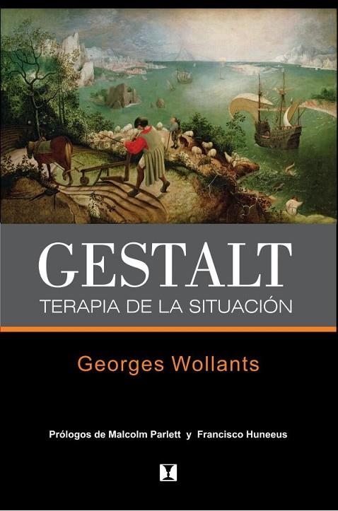 GESTALT TERAPIA DE LA SITUACION | 9789562421331