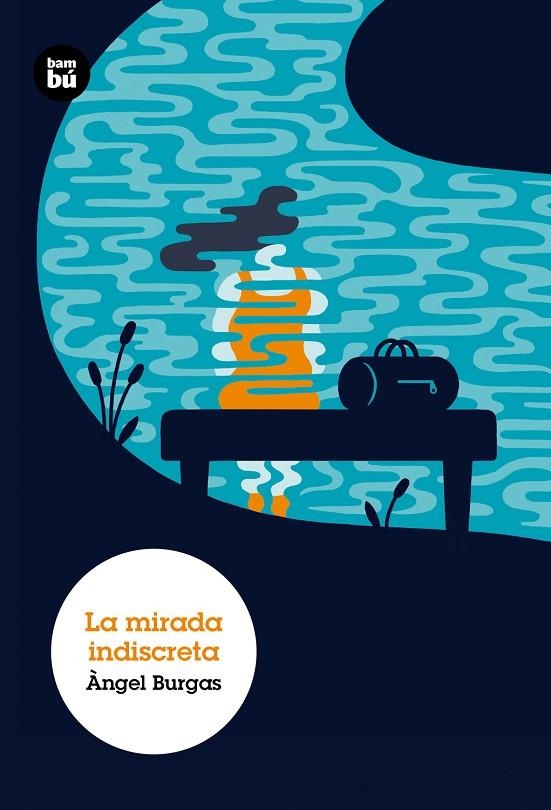 LA MIRADA INDISCRETA | 9788483433935
