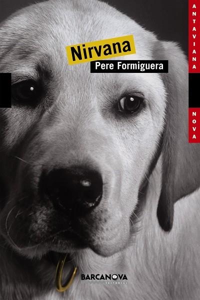 NIRVANA (ANJ) (1452096) | 9788448919443 | FORMIGUERA SALA, PERE