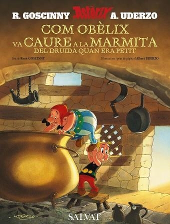 COM OBÈLIX VA CAURE A LA MARMITA | 9788421683309