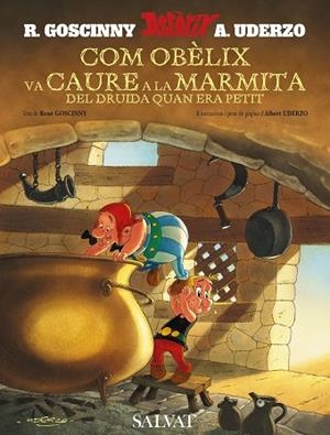 COM OBÈLIX VA CAURE A LA MARMITA | 9788421683309