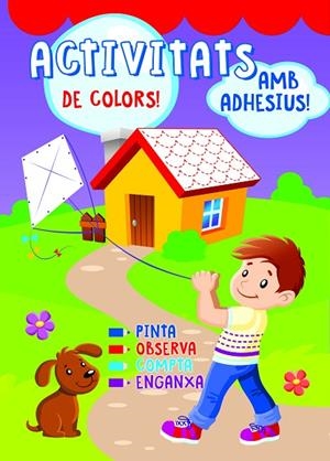 ACTIVITATS DE COLORS: CASA | 9788491671442