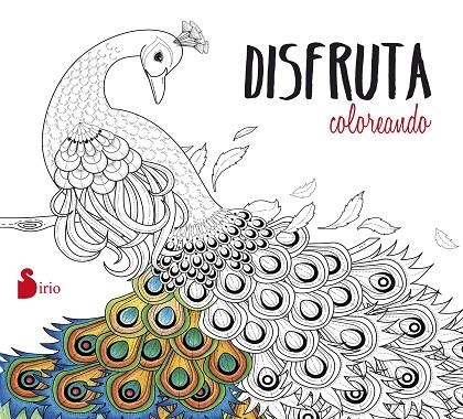DISDRUTA COLOREANDO | 9788416579464 | VV.AA