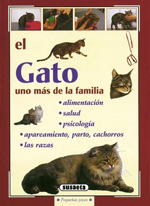 GATO, EL (R.775-11) PEQUEÑAS JOYAS | 9788430597420