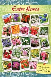 ENTRE FLORES | 9788493928193 | DORADO, BELÉN