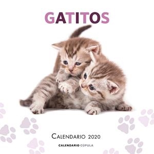 CALENDARIO GATITOS 2020 | 9788448026165 | AA. VV.