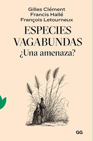 ESPECIES VAGABUNDAS | 9788425233319 | CLÉMENT, GILLES/HALLÉ, FRANCIS/LETOURNEUX, FRANÇOIS
