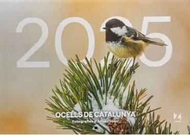 OCELLS DE CATALUNYA 2025 (CALENDARI) | 9781901175127 | MAPZINE