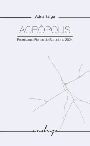 ACRÒPOLIS | 9788412843392 | TARGA RAMOS, ADRIÀ