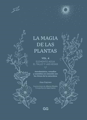 LA MAGIA DE LAS PLANTAS | 9788425235641 | GAYOSO, ANA