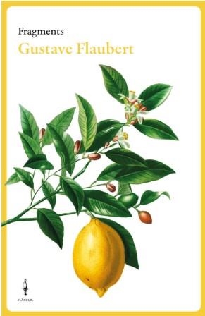 FRAGMENTS GUSTAVE FLAUBERT | 9788409684007 | FLAUBERT, GUSTAVE