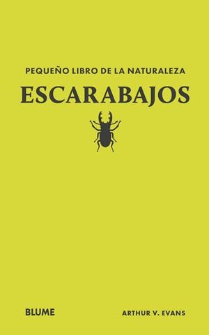 PEQUEÑO LIBRO DE LA NATURALEZA. ESCARABAJOS | 9788410268739 | EVANS, ARTHUR V
