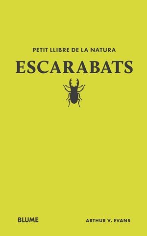 PETIT LLIBRE DE LA NATURA. ESCARABATS | 9788410268746 | EVANS, ARTHUR V