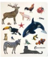 ANIMALES! | 9788412906882 | AA.VV.