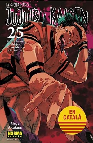 JUJUTSU KAISEN 25 CATALA | 9788467969979 | AKUTAMI, GEGE