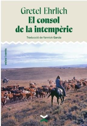 VÍNCULO DE TRAICIÓN | 9791399024609 | MEHROTRA, RATI