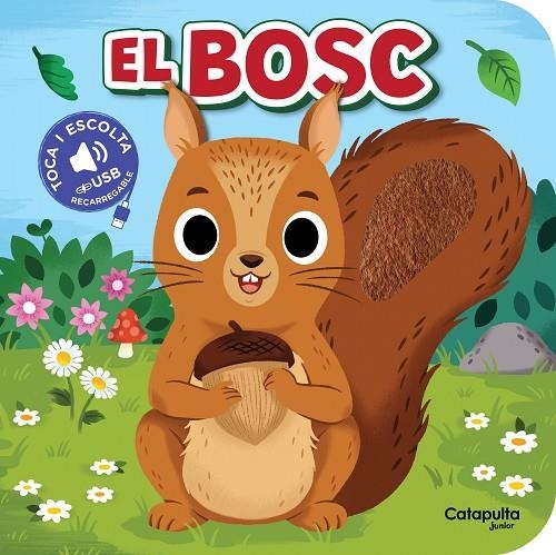 TOCA I ESCOLTA: EL BOSC | 9788419987617 | ELS EDITORS DE CATAPULTA