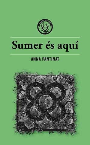 SUMER ÉS AQUÍ | 9791399014686 | ANNA PANTINAT