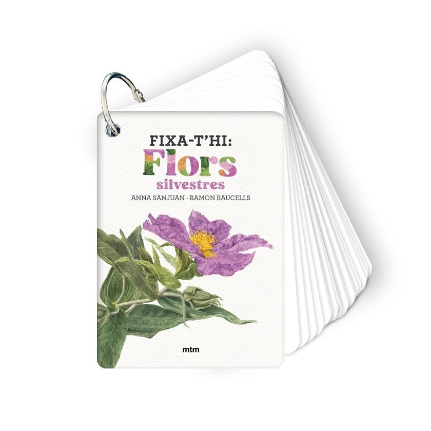 FIXA-T'HI: FLORS SILVESTRES | 9788410407589 | SANJUAN LLORENS, ANNA/BAUCELLS COLOMER, RAMON