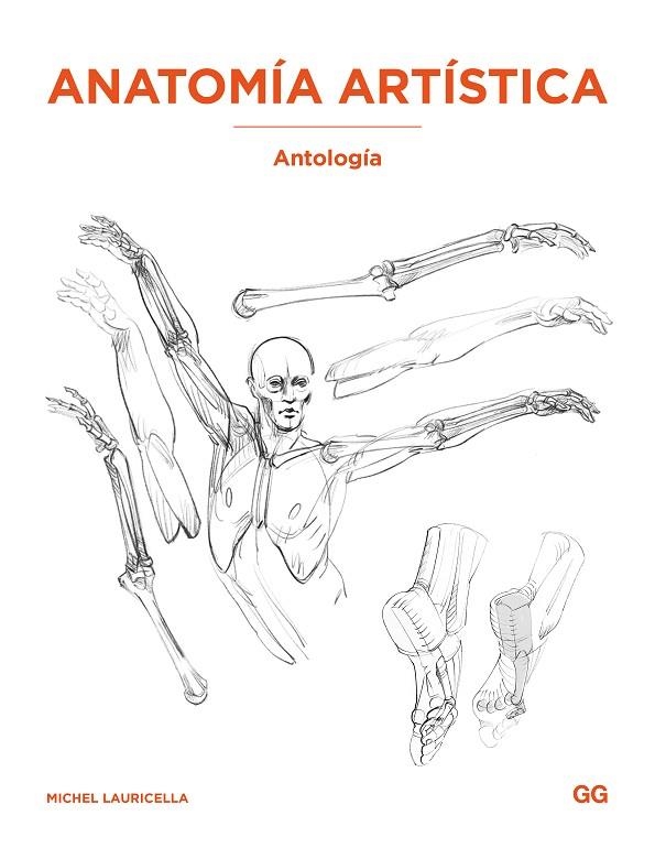 ANATOMÍA ARTÍSTICA: ANTOLOGÍA | 9788425236440 | LAURICELLA, MICHEL