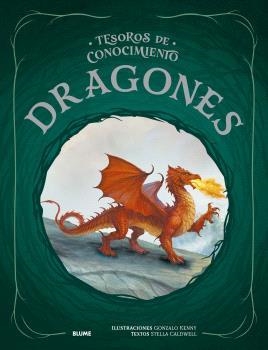 TESOROS CONOCIMIENTO. DRAGONES | 9791387881191 | KENNY, GONZALO/CALDWELL, STELLA