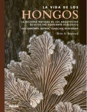 VIDA DE LOS HONGOS | 9791387881368 | BUNYARD, A.