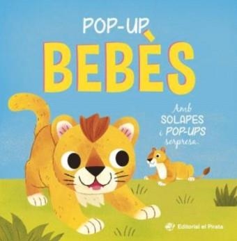 POP-UP BEBÈS - CONTE AMB SOLAPES I POP-UPS SORPRESA! | 9788419912527 | BLAKE, CARLY