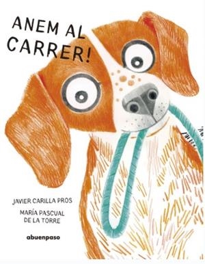 ANEM AL CARRER | 9788410016514 | AA.VV., AA.VV.