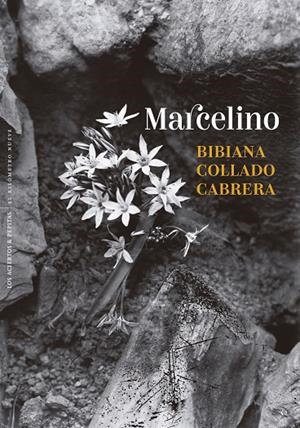 MARCELINO | 9788410476431 | COLLADO CABRERA, BIBIANA