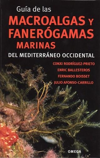 GUÍA DE LAS MACROALGAS Y FANERÓGAMAS MARINAS DEL MEDITERRÁNEO OCCIDENTAL | 9788428215923 | RODRÍGUEZ-PRIETO, CONXI/BALLESTEROS, ENRIC/BOISSET, FERNANDO/AFONSO-CARRILLO, JULIO