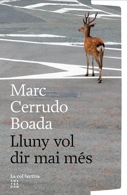 LLUNY VOL DIR MAI MÉS | 9791387800260 | CERRUDO BOADA, MARC