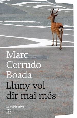 LLUNY VOL DIR MAI MÉS | 9791387800260 | CERRUDO BOADA, MARC