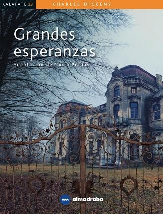 GRANDES ESPERANZAS | 9788417563332