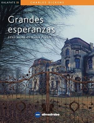 GRANDES ESPERANZAS | 9788417563332