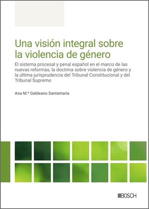 UNA VISIÓN INTEGRAL SOBRE LA VIOLENCIA DE GÉNERO | 9788490908587 | GALDEANO SANTAMARÍA, ANA M.ª
