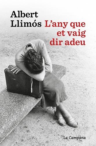 L'ANY QUE ET VAIG DIR ADEU | 9791387564452 | LLIMÓS, ALBERT